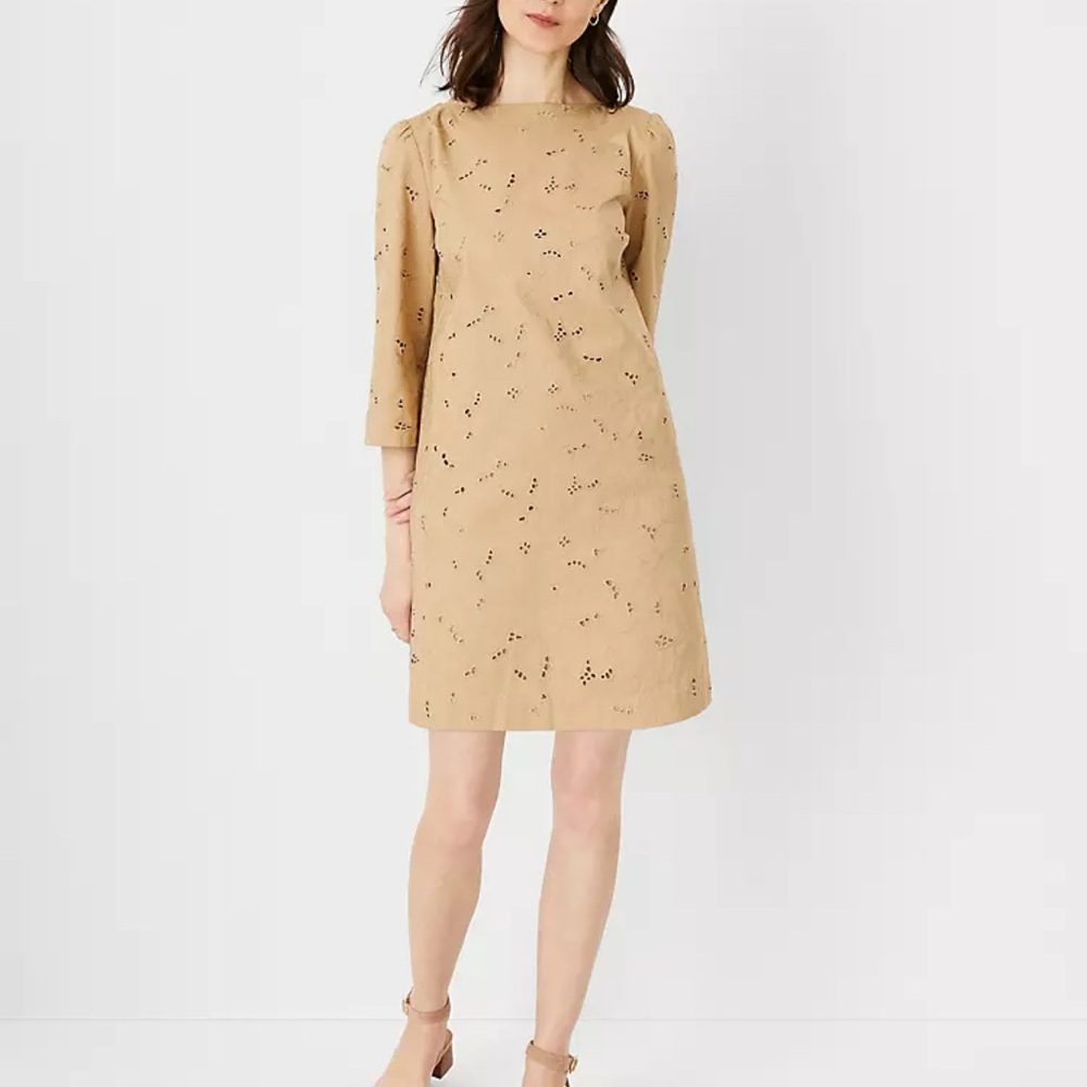 Chic Tan Long Sleeve Dress Sz 6
